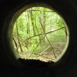 _DSC0102 (Kopiowanie)