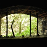 _DSC0223 (Kopiowanie)
