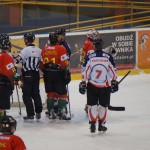 TKH vs Naprzód 24-01-2016 - 43