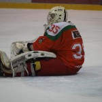 TKH vs SOSNOWIEC 17-01-2016 - 26