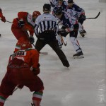 TKH vs SOSNOWIEC 17-01-2016 - 42