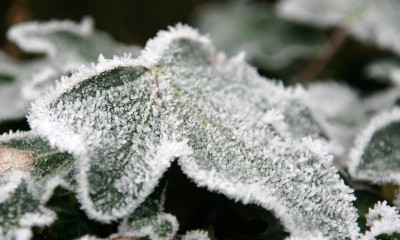 frost-650233_960_720