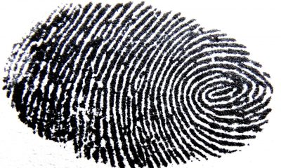 fingerprint-456483_1280