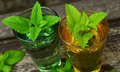 lemon-balm-770051_1280