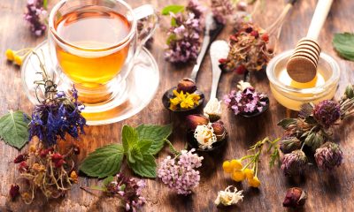 Cup of herbal tea with wild flowers and various herbs