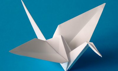 Origami-crane