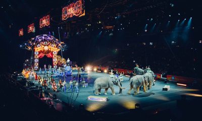 circus-828680_960_720