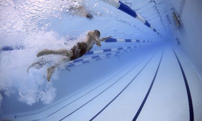 swimmers-79592_960_720