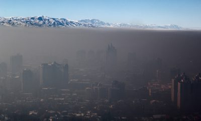 Radny miasta Torunia chce walczyć ze smogiem (fot. archiwum)