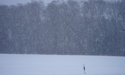 blizzard-1025001_960_720