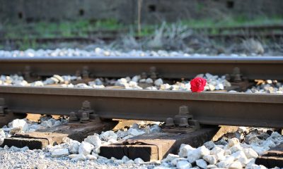 red-rose-on-railway-2780236_1280