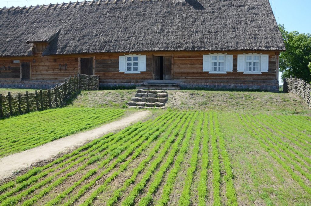 (fot. B. Olszek, J. Sójka/torun.pl)