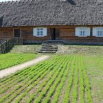 (fot. B. Olszek, J. Sójka/torun.pl)