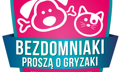 Bezdomniaki proszą o gryzaki - grafika (1)