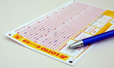 Lotto Bill Gambling Win Lottery Ticket Profit Pay