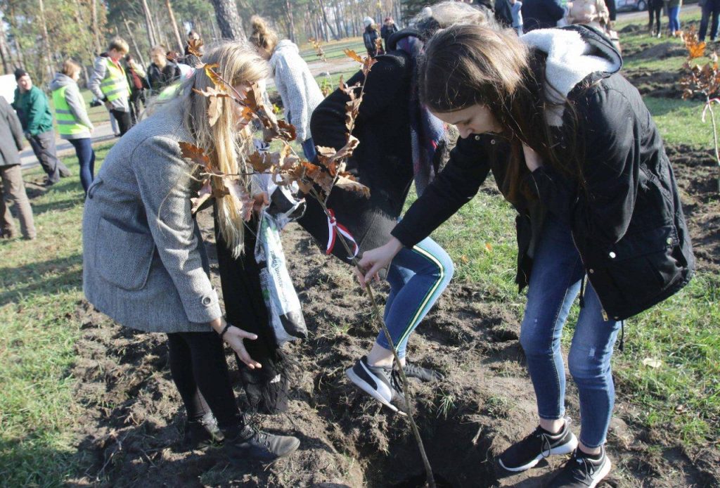 (fot. Adam Zakrzewski/torun.pl)