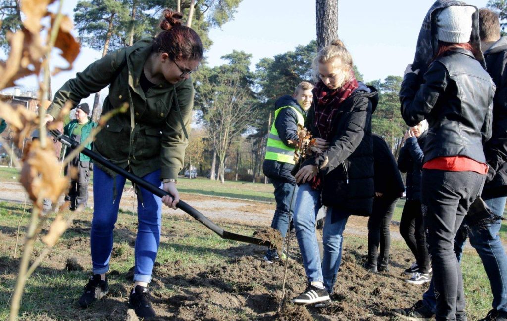 (fot. Adam Zakrzewski/torun.pl)