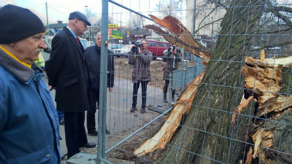 (fot. Adam Zakrzewski/torun.pl)