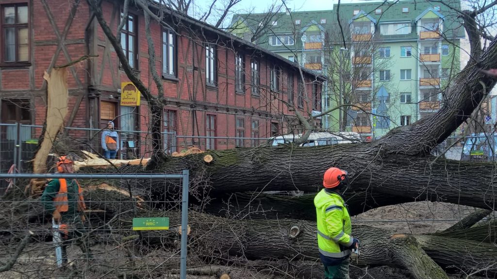 (fot. Adam Zakrzewski/torun.pl)