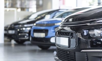 Low angle of extravagance store with cars in a row for sale