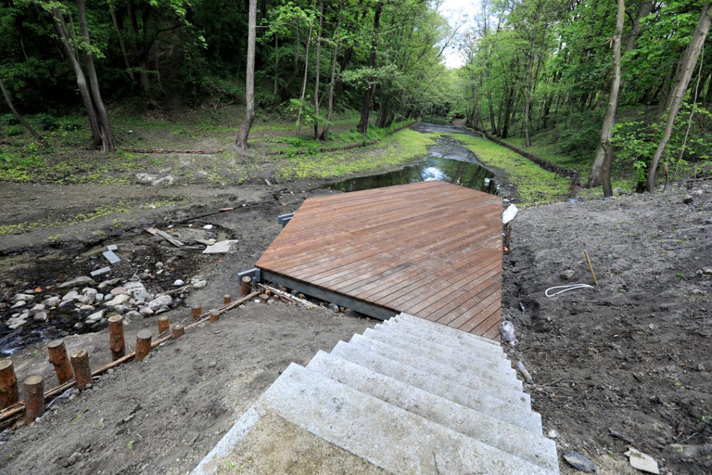 (fot. Sławomir Kowalski/torun.pl)