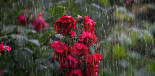 Co zrobić po śmierci bliskiej osoby? Najważniejsze formalności krok po kroku