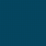 900x250 (1)